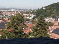 Blick auf Heidelberg