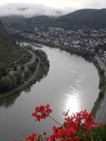 DSCN4679 Moselschleife Cochem