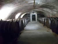 DSCN4837  Weinkeller