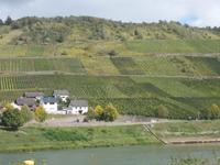 DSCN4841  an der Mosel