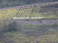 102 Moselweinlandschaft