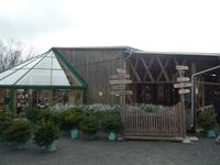 Jacobs Weihnachtsbaum Erlebniswelt