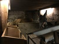 Sixtenhof am Achensee