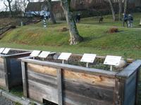 Kloster Andechs Kräutergarten