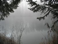 Neujahrsspaziergang, Innauen