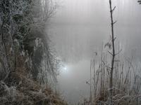 Neujahrsspaziergang, Innauen