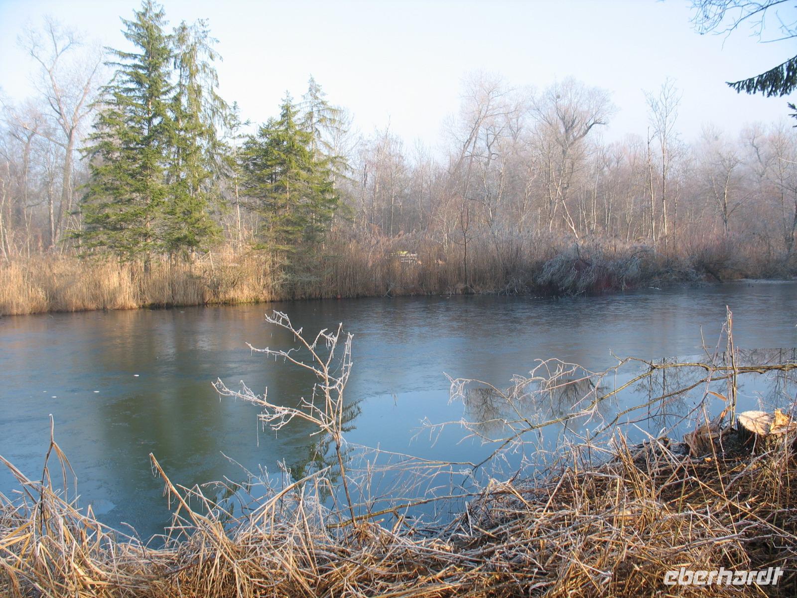 Neujahrsspaziergang, Innauen