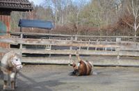 Hier fühle ich mich wohl