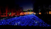 Christmas Garden, Schloss Pillnitz 