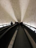 Die Tube -  Plaza der Elbphilharmonie Hamburg