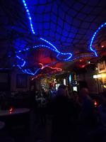 Einkehr bei der Kiez-tour - Hans Albers Klause Hamburg