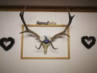 1 Tag Bad Kötzting, In der Bärzwurzquelle