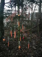 1 Tag Auch Tiere haben Weihnachten bei Viechstach