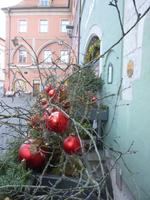 Regensburg _Kräuterermarkt