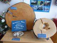 Großer Arber_Eisensteinhütte