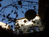 Deggendorf_Ehemalige Alte Apotheke (Weinbeisl)