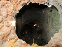 Wolf- und Bärenpark Worbis