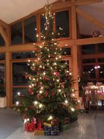Unser prächtiger Hotel-Weihnachtsbaum