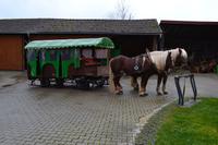 Pferdekutschfahrt und Brettljause beim Michlbauern