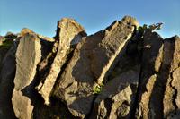 Auf der Burgruine Saarburg 