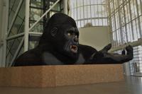 Metz, Centre Pompidou 