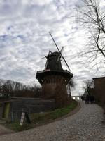 Schloss Sanssouci, Mühle, Potsdam