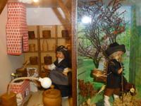 Museum Rotschnabelnest