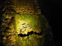 Museum Rotschnabelnest