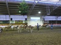 Meura Weihnachtsgala