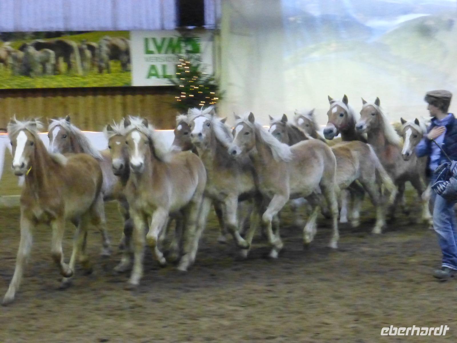 Meura Weihnachtsgala