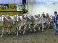 Meura Weihnachtsgala