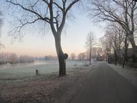  Morgennebel über der Aller