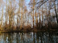 Winterliche Kahnfahrt mit Glühwein