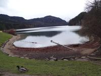 2. Schwangau  Aplsee