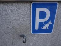 5. Kempten - Hundeparkplatz