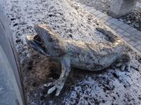 5. Kempten -Brunnen Teile Hildegardplatz