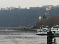 Die Mosel in Koblenz unterhalb des Deutschen Ecks