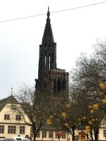Besuch in Strasbourg
