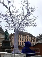 Strassburg hat viele Weihnachtsmärkte: hier der auf dem Gutenberg-Platz