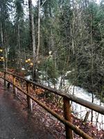 Triberger Wasserfall