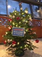 Tag 2 - Weihnachtsbaumschmücken