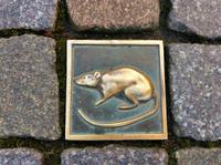 Tag 5 - Ratte