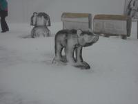 53 Willkommen auf dem Fichtelberg