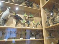 60 Raritätenmuseum Zönitz