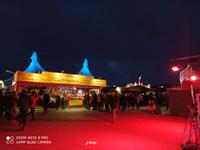 Tollwodd-Festival, Theresienwiese