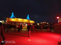 Tollwood-Festival, Theresienwiese