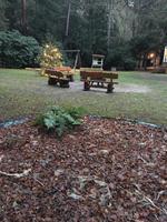 Sitzecke in der Waldsiedlung