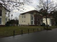 Hauptweg in der Waldsiedlung