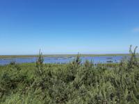 Wanderung Darßer Ort 