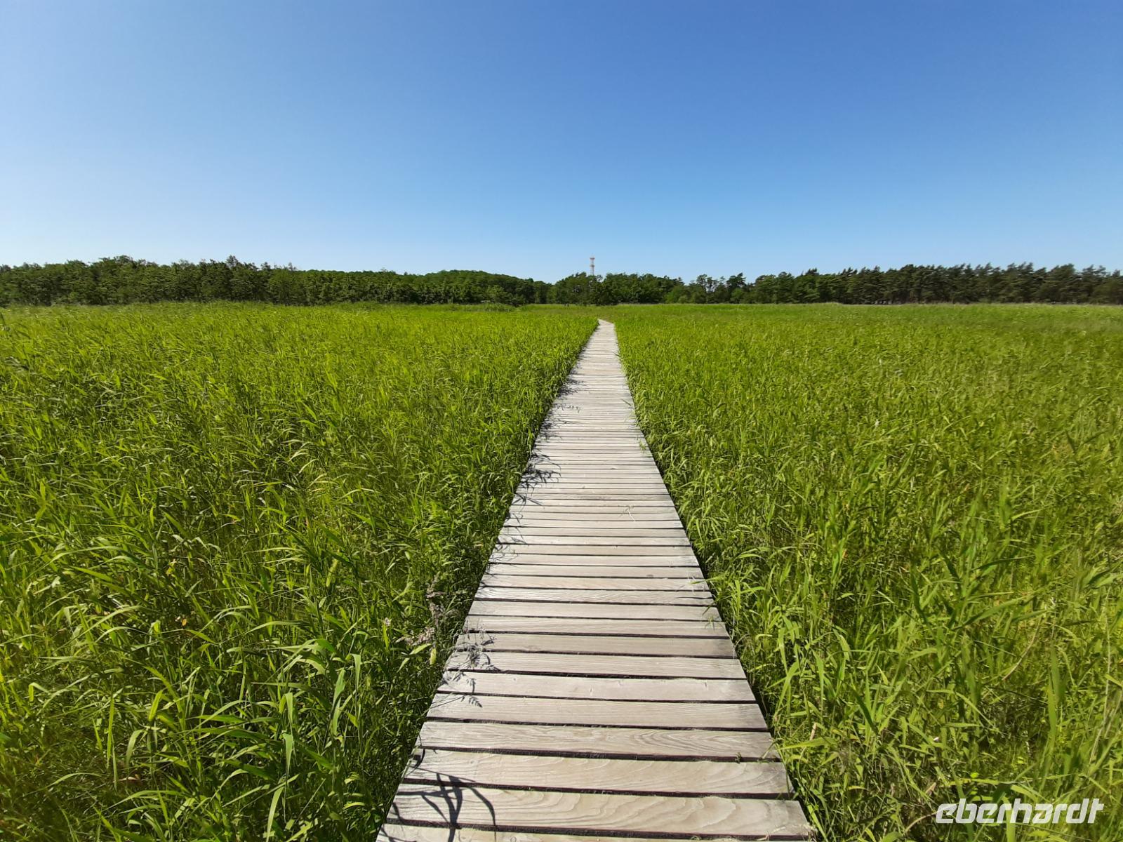 Wanderung Darßer Ort 